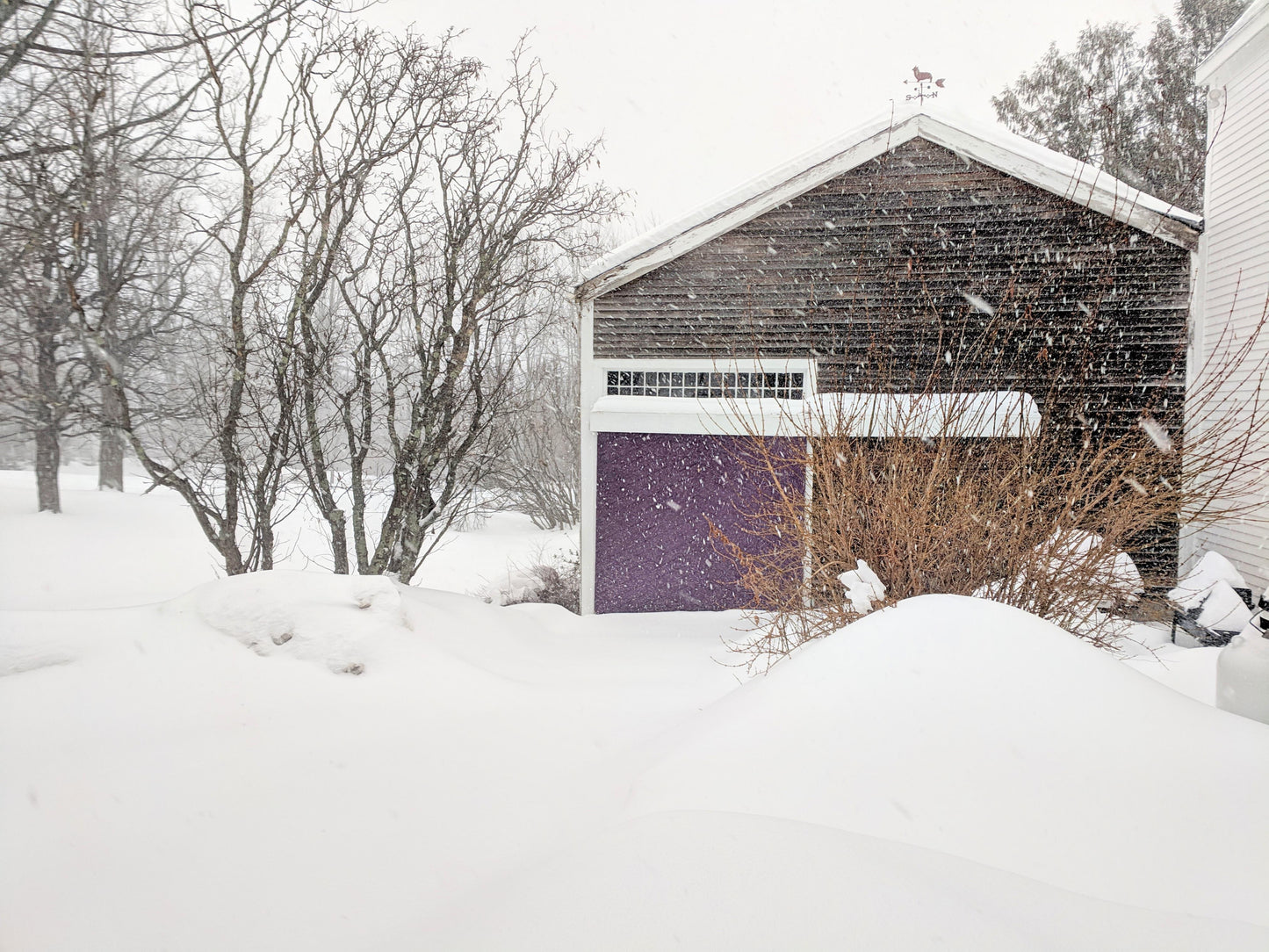 Heritage Skills for Contemporary Life: Seasons at the Parris House by Elizabeth Miller